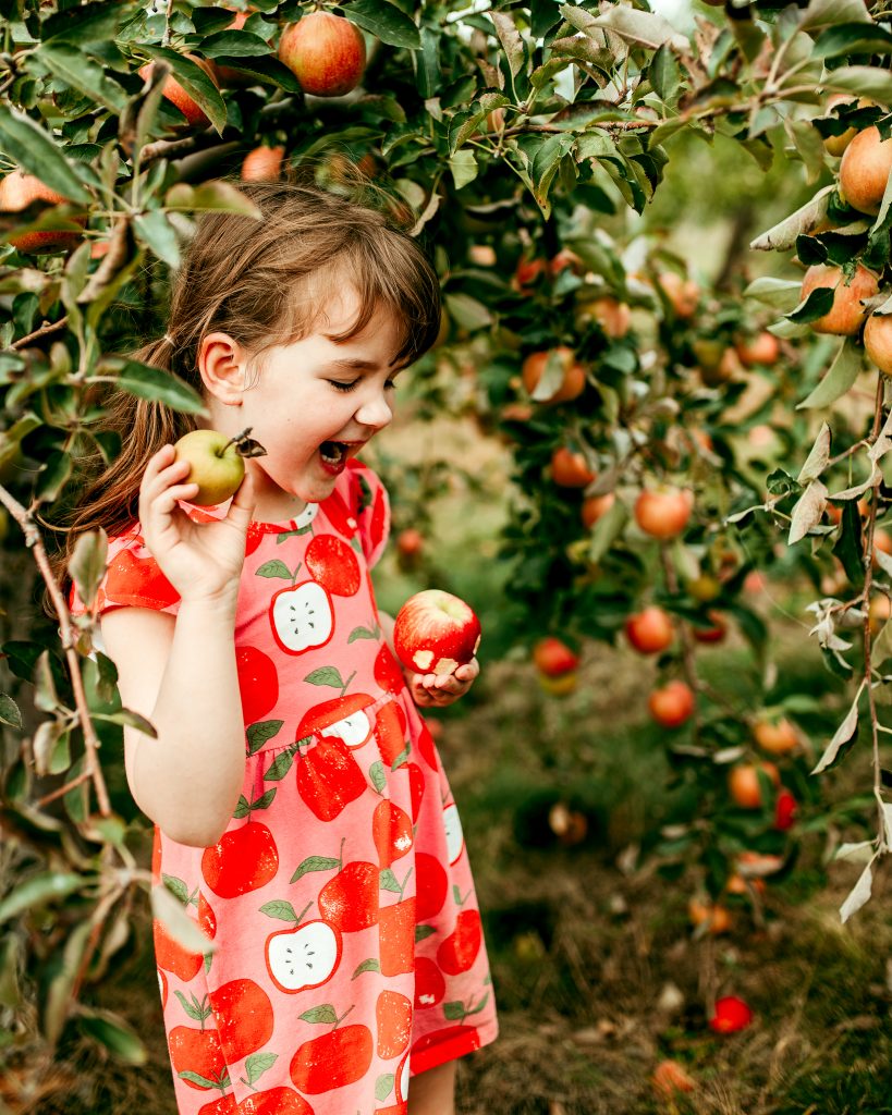 Apple Orchard Photos