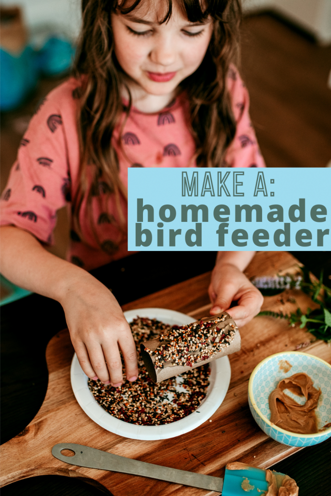 Make an easy homemade bird feeder with your kids! A nature inspired activity for young kids made by reusing a paper roll.