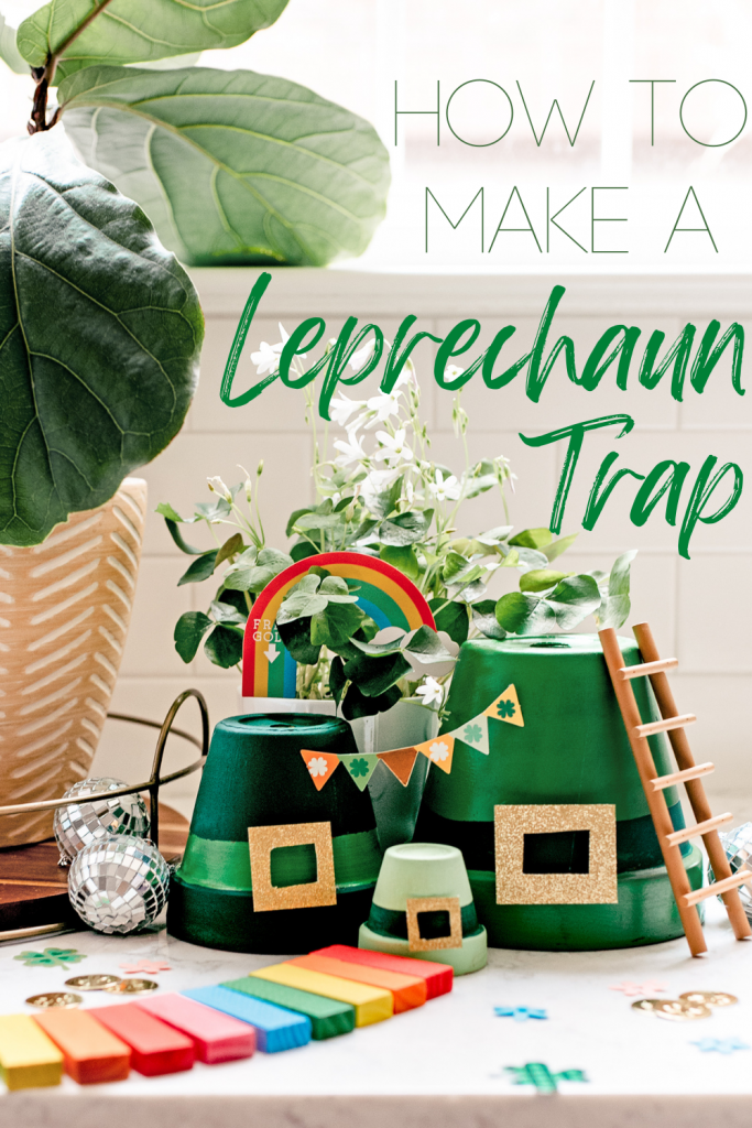 How to make a leprechaun trap and what to put in it - Reviewed