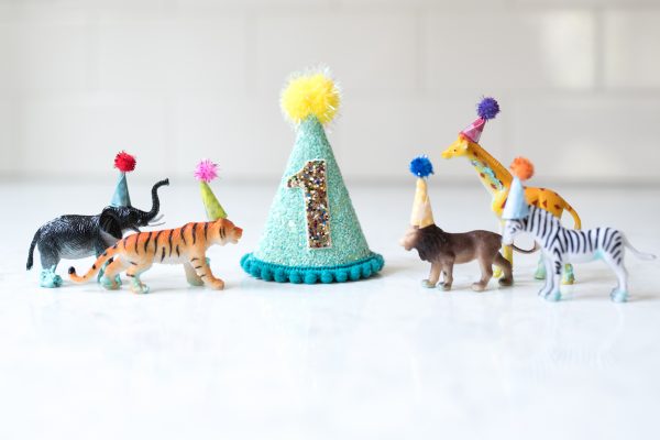 “Party Animal” FIRST BIRTHDAY PARTY