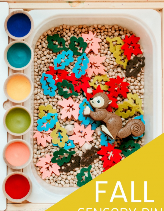 Fall Sensory Bin