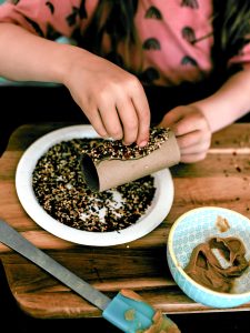 Directions to make an easy DIY bird feeder using a paper roll and nut butter.