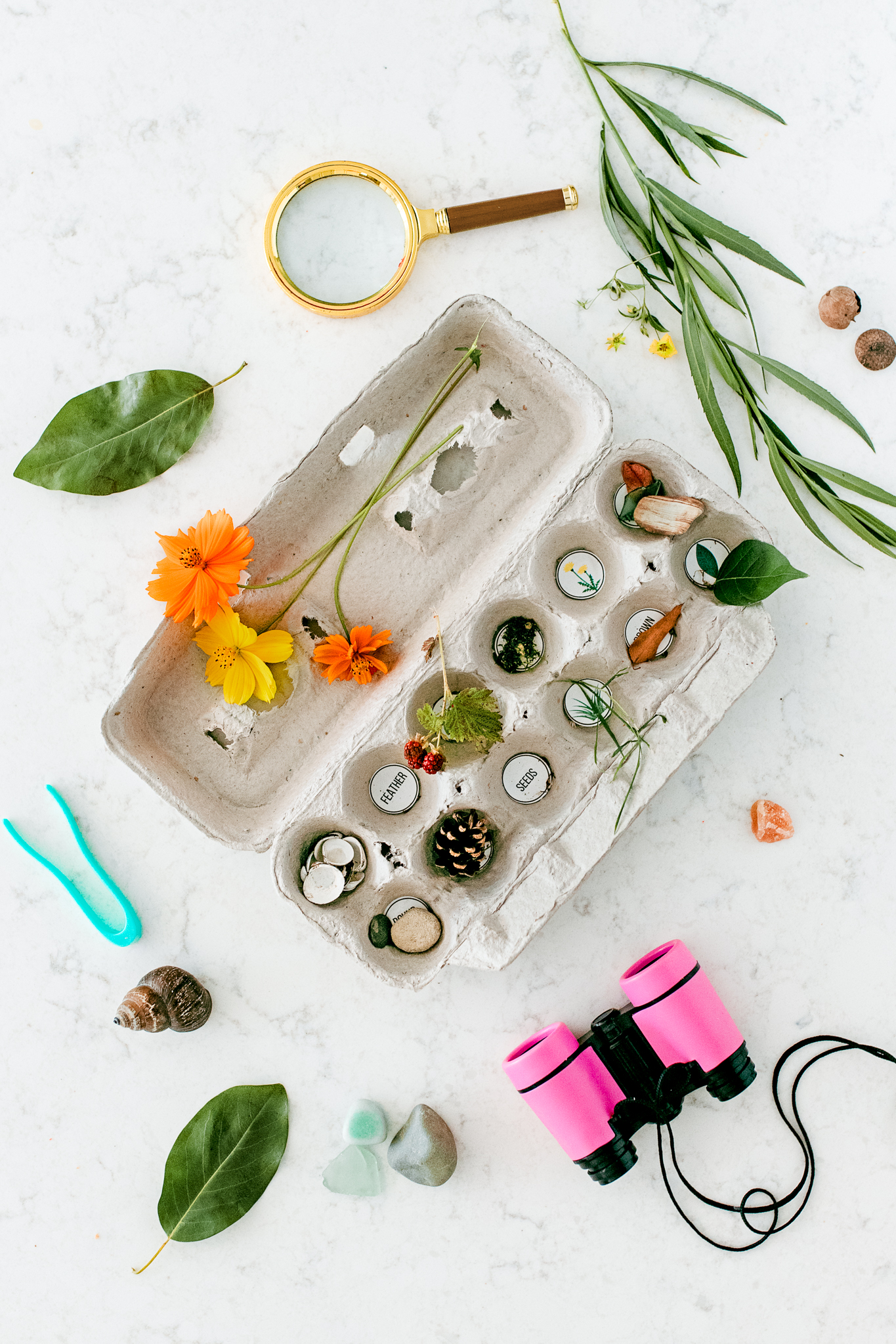 Use an empty egg carton to create a scavenger hunt for a nature walk. Label each spot with the name or drawing of a small nature item that the kids can look for along the way and add to their carton.