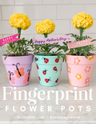 Sesame Street Birthday Party