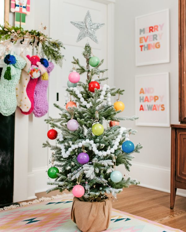 Paint Shake DIY Ornaments